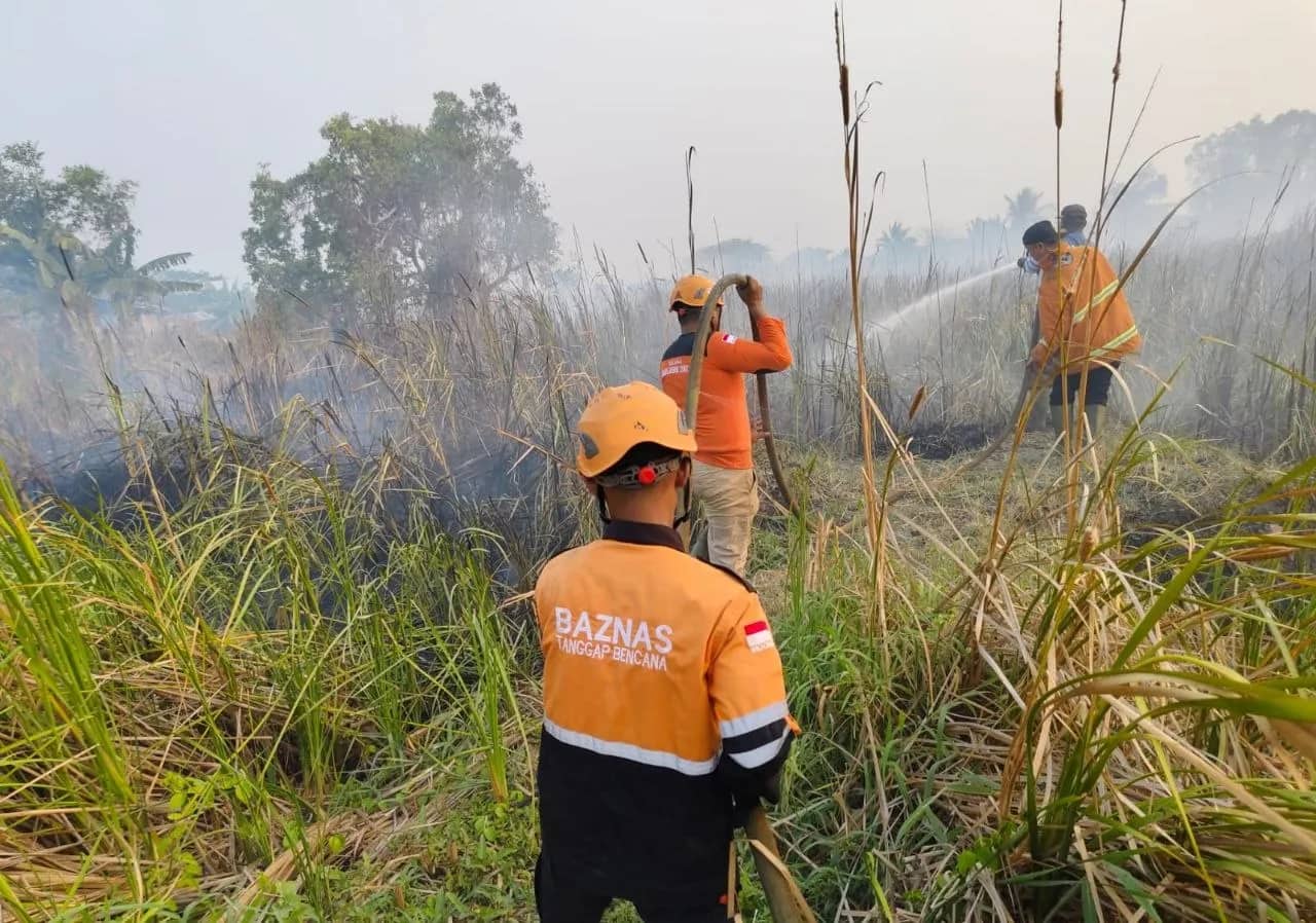 Ilustrasi berita Mimika: Demi Kurangi Asap, Relawan Mimika Respon Cepat Turun Langsung Bantu Tangani Karhutla di Merauke