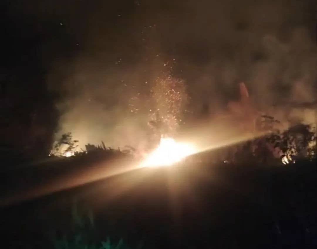 Ilustrasi berita Mimika: Kebun Milik Warga SP 7 Timika Terbakar, Api Hampir Merambat ke Pemukiman Penduduk