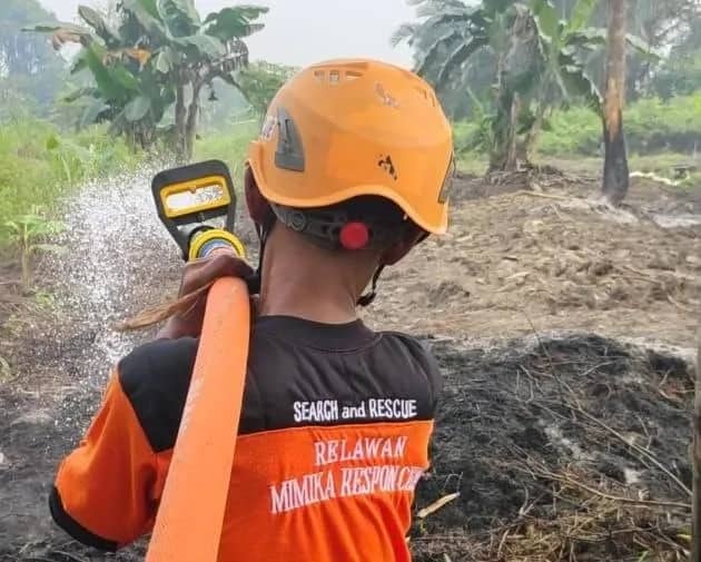 Ilustrasi berita Mimika: Armada Damkar dan Relawan MRC-BTB Berjibaku Padamkan Kebakaran Lahan di Jalur 10 SP 7 Mimika