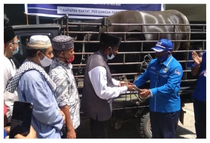 Ilustrasi berita BERITA UTAMA: Berkah Ditengah Pandemi, Tiga Masjid di Jayapura Dapat Bantuan 3 Ekor Sapi Kurban