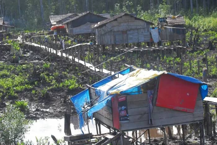 Ilustrasi berita Mimika: Oknum Pejabat Pemda Mimika dan Kontraktor Jangan Kuras APBD Demi Sukseskan Pilkada di Daerah Lain