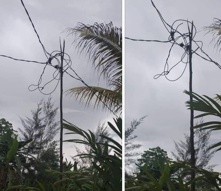 Ilustrasi berita Mimika: Warga Diminta Hati-hati, Ada Maut di Tiang Kayu Penyangga Kabel Listrik PLN di Landu Mekar Timika