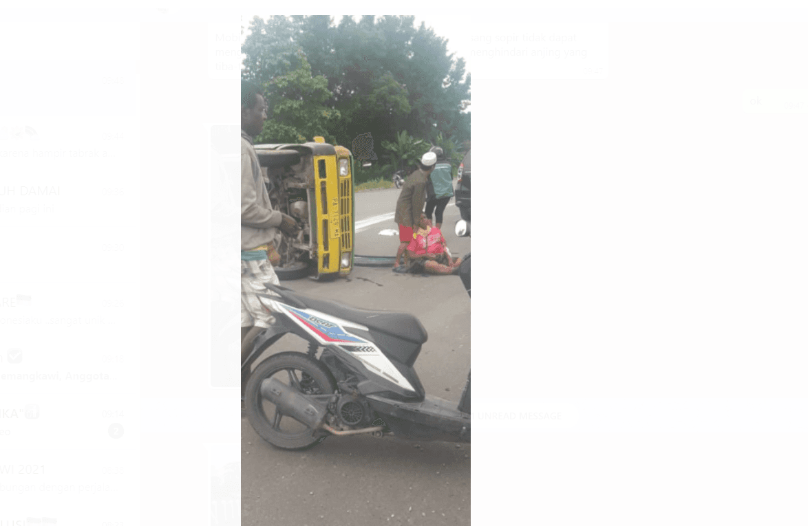 Ilustrasi berita Mimika: Flash News : Hindari Anjing, Toyota Kijang Terbalik di Kompleks Waker Hasanudin