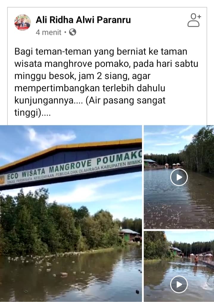 Ilustrasi berita Mimika: Informasi Penting !!! Eco Wisata Mangrove Pomako Terendam, Lokasi Parkir Jadi Kolam