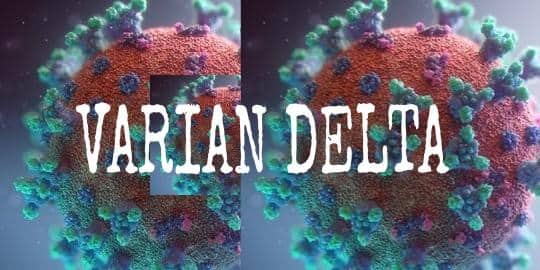 Ilustrasi berita Mimika: Teliti Varian Delta, Litbangkes Papua Terima 10 Sampel dari Timika