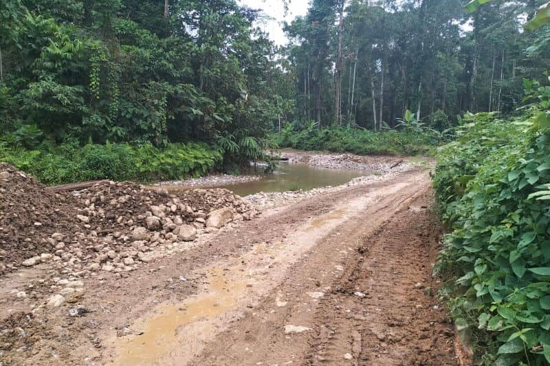 Ilustrasi berita Papua: Kepala Suku Besar Kuri Wamesa-Soug Restui Jalan Trans Papua Barat