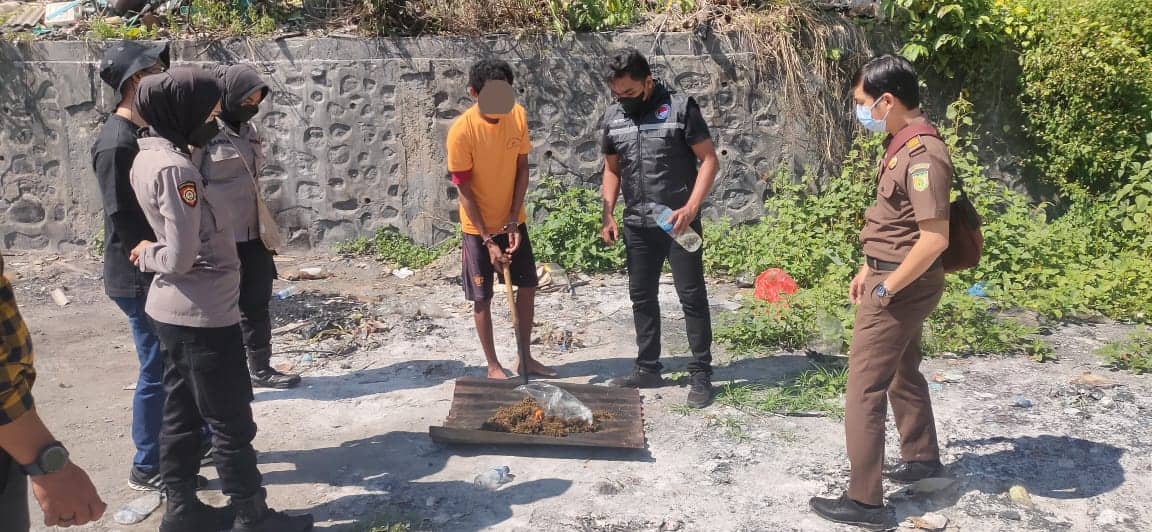Ilustrasi berita Papua: Polisi Bersama Jaksa Musnahkan Ganja 430.47 Gram di Jayapura Disaksikan Tersangka
