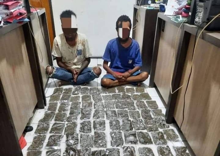 Ilustrasi berita Papua: Dua Pelaku Penyelundup 100 Paket Ganja Seberat 2,8 Kilogram Asal PNG Dibekuk di Perbatasan Skouw