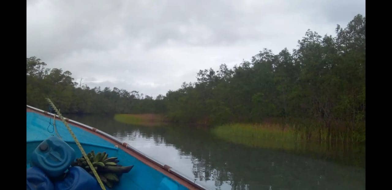 Ilustrasi berita Mimika: Nyaris Tenggelam, Begini Kesaksian Kepala Kampung Bulumen Jita Ganasnya Ombak di Laut Puriri