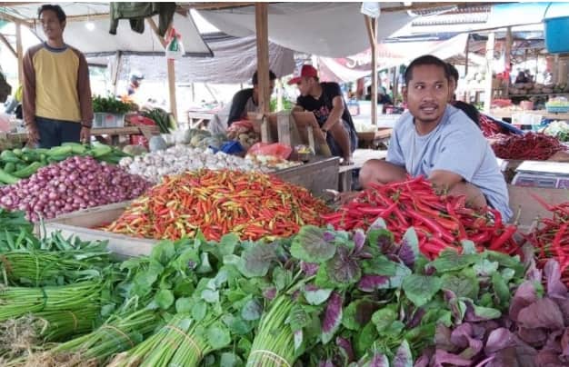 Ilustrasi berita Mimika: Sempat Tembus Rp 150 Ribu Perkilogram, Harga Cabe Rawit di Mimika Perlahan Mulai Turun