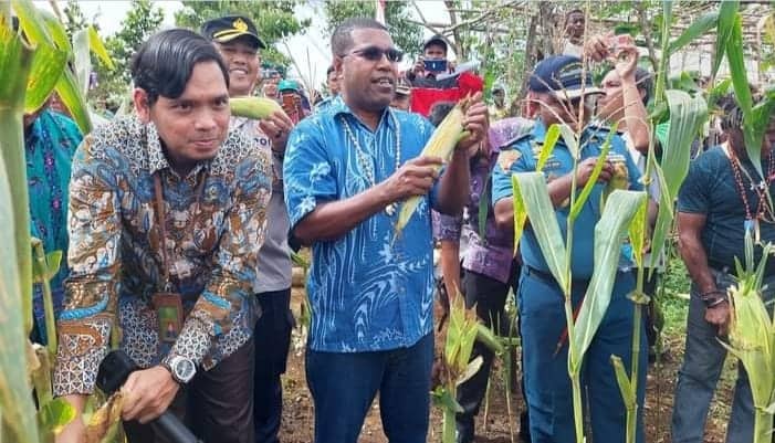 Ilustrasi berita Papua: Hadiri Panen Raya Jagung di Biak Timur, Bupati Tegaskan Ketahanan Pangan Harus Diwujudkan