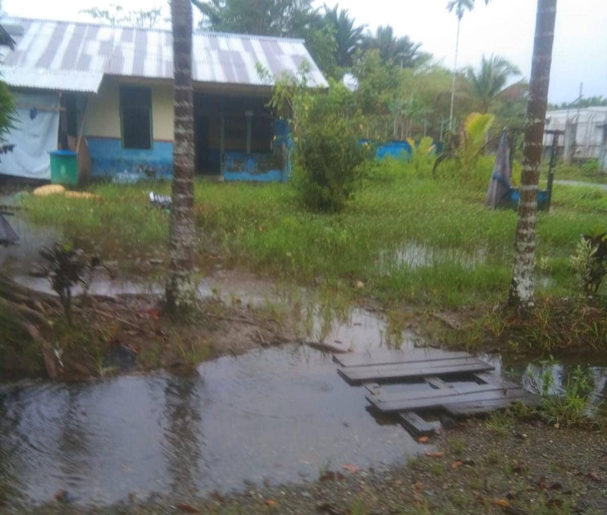 Ilustrasi berita Mimika: Genangan Air di Hutan Sagu Jadi Sarang Nyamuk, Kelurahan Wania Darurat Banjir, Surati PUPR Mimika Minta Alat Berat