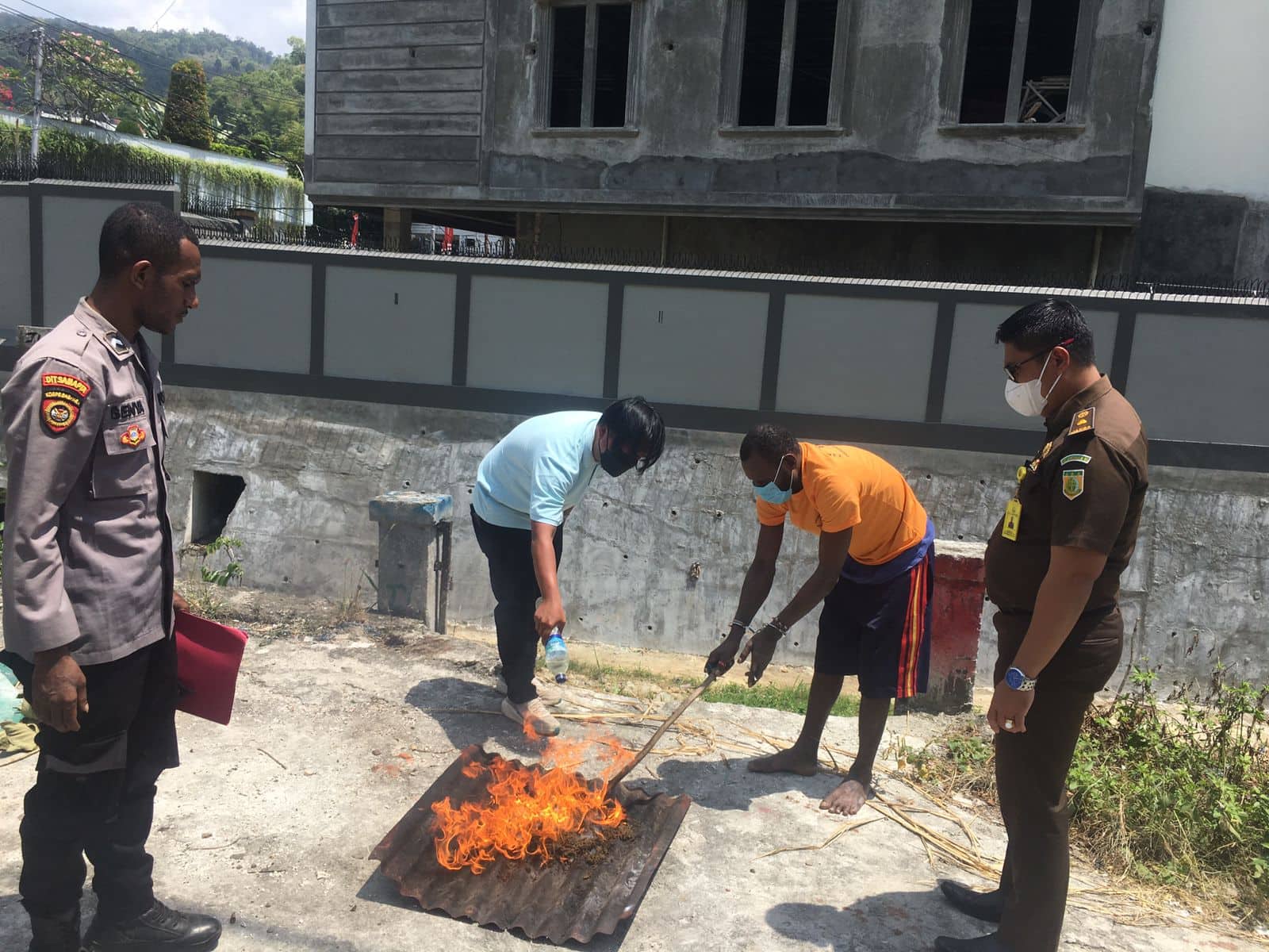 Ilustrasi berita Papua: Polisi Bakar Ganja Seberat 259 Gram di Jayapura
