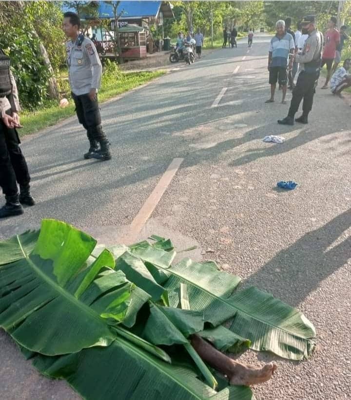 Ilustrasi berita Papua: Sosok Mayat Ditemukan Warga Tergeletak di Jalan Trans Irian, Karena Ini Terpaksa Ditutupi Daun Pisang …