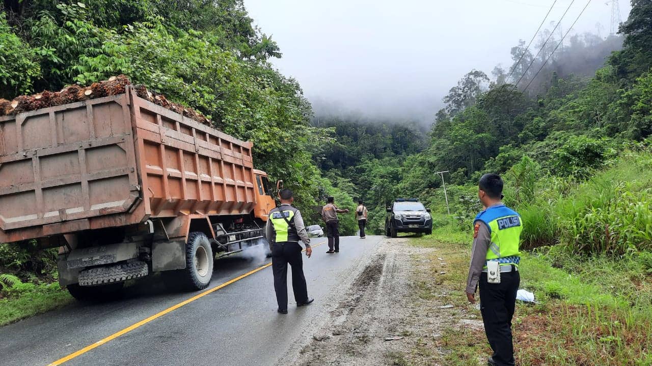 Ilustrasi berita Papua: Jatuh dari Motor Akibat Kaget Bunyi Klakson, Ibu dan Anak Tewas Terlindas Truk di Jayapura