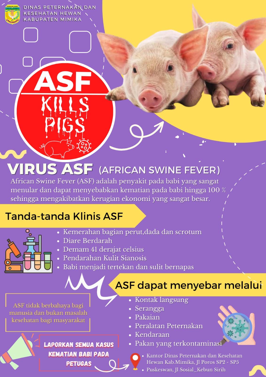 Ilustrasi berita Mimika: Sikapi Wabah Virus Flu Babi yang Sangat Mematikan, Plt Bupati Mimika Keluarkan 5 Butir Instruksi