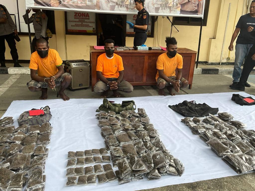 Ilustrasi berita JAYAPURA: Polisi Gagalkan Penyelundupan 12 Kilogram Ganja Asal PNG, Tiga Warga Ditangkap