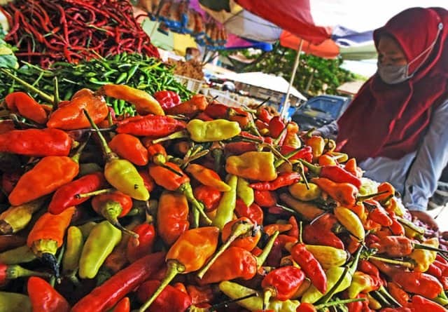 Ilustrasi berita JAYAPURA: Dua Minggu Jelang Lebaran, Harga Cabai Naik Sentuh Rp100 Ribu Per Kilogram, Tim Inflasi Diminta Pantau Harga