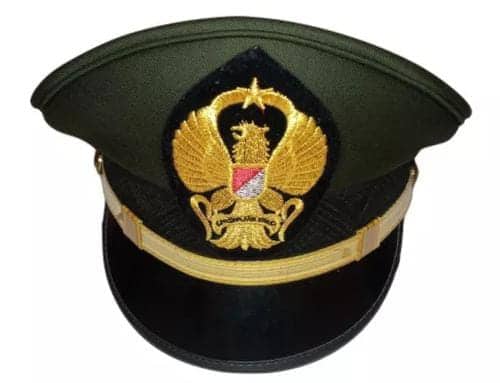 Ilustrasi berita Nasional: Berikut Daftar Nama 68 Perwira Tinggi TNI yang Dimutasi, Ada Pati dari Kodam XVII/Cenderawasih