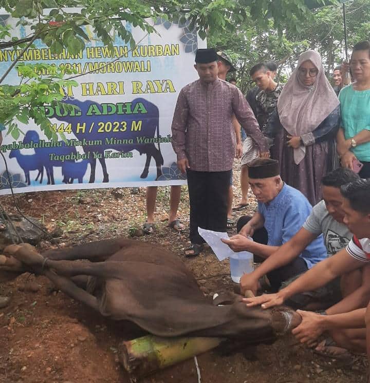 Ilustrasi berita Nasional: Kodim 1311/Morowali Potong 7 Ekor Sapi dan Satu Ekor Disumbangkan ke Pondok Pesantren Alfatas