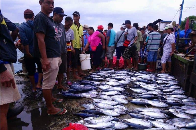 Ilustrasi berita Papua: Pelabuhan Amamapare Mimika Catat Rekor Tertinggi, BPS: Jepang Negara Tujuan Ekspor Terbesar Papua pada Mei 2023