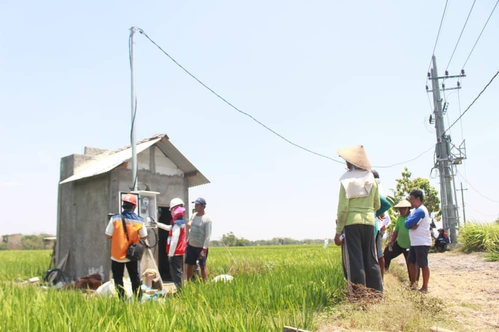 Ilustrasi berita Nasional: Pertanian Modern Berbasis Listrik Kian Berkembang, Program Electrifying Agriculture PLN Tumbuh 22,28 Persen
