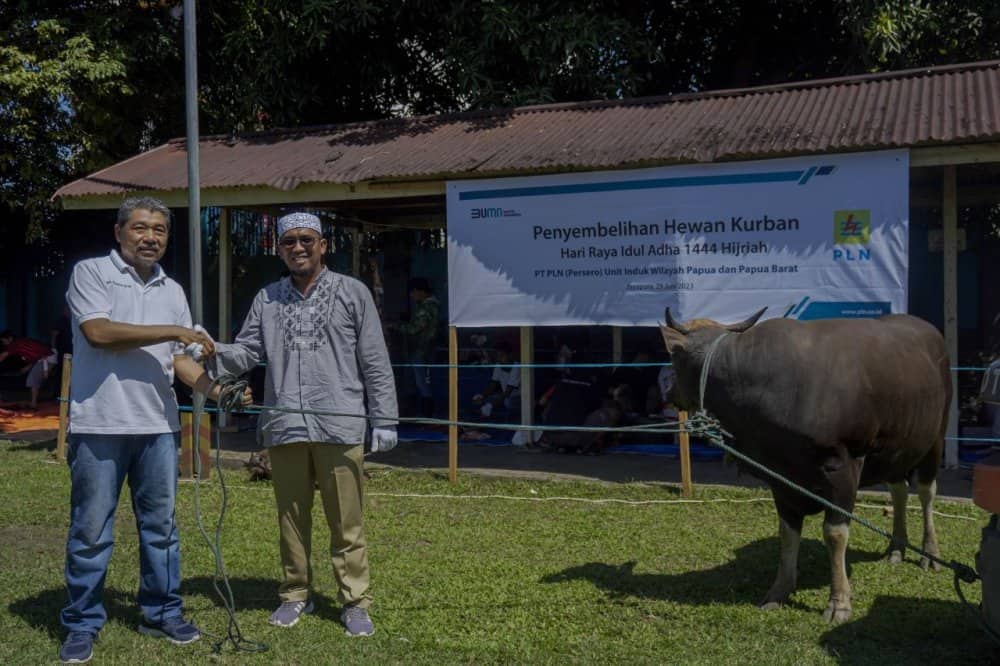 Ilustrasi berita Papua: Momen Idul Adha 1444 Hijiriah, PLN Papua Salurkan 35 Hewan Kurban Termasuk di Timika