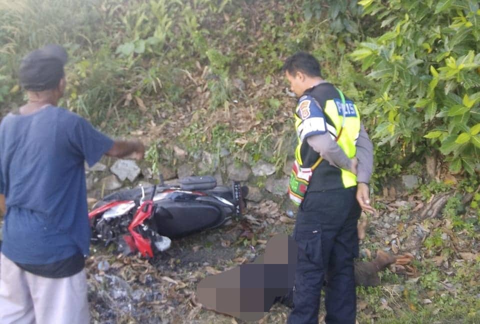 Ilustrasi berita JAYAPURA: Hajar Pohon Hingga Terpental di Pinggir Danau Sentani, Seorang Pria Tewas