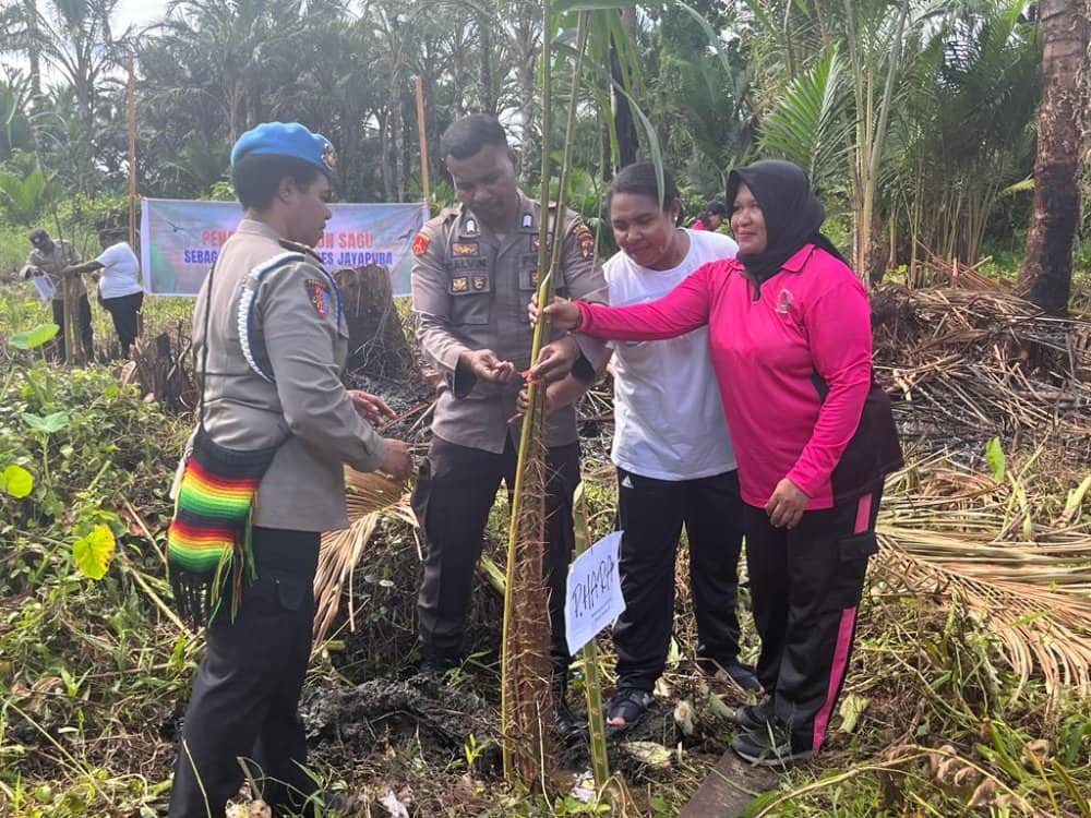 Ilustrasi berita JAYAPURA: 15 Pasangan Pra Nikah Anggota Polres Jayapura Wajib "Colo Sagu"