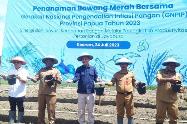Ilustrasi berita JAYAPURA: Gerakan Nasional Pengendalian Inflasi Pangan, BI dan TPID Tanam Bawang di Keerom