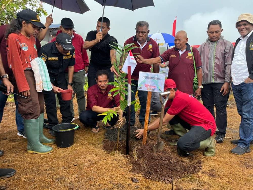 Ilustrasi berita JAYAPURA: Pemprov Papua Tanam 78 Ribu Pohon Bambu di Cagar Alam Cyclop