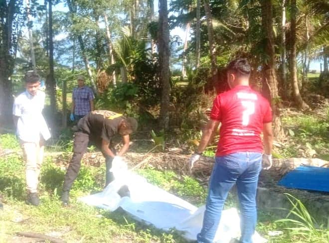 Ilustrasi berita JAYAPURA: Diduga Korban Tabrak Lari, Pria ODGJ Tanpa Indentitas Ditemukan Tewas di Holtekamp