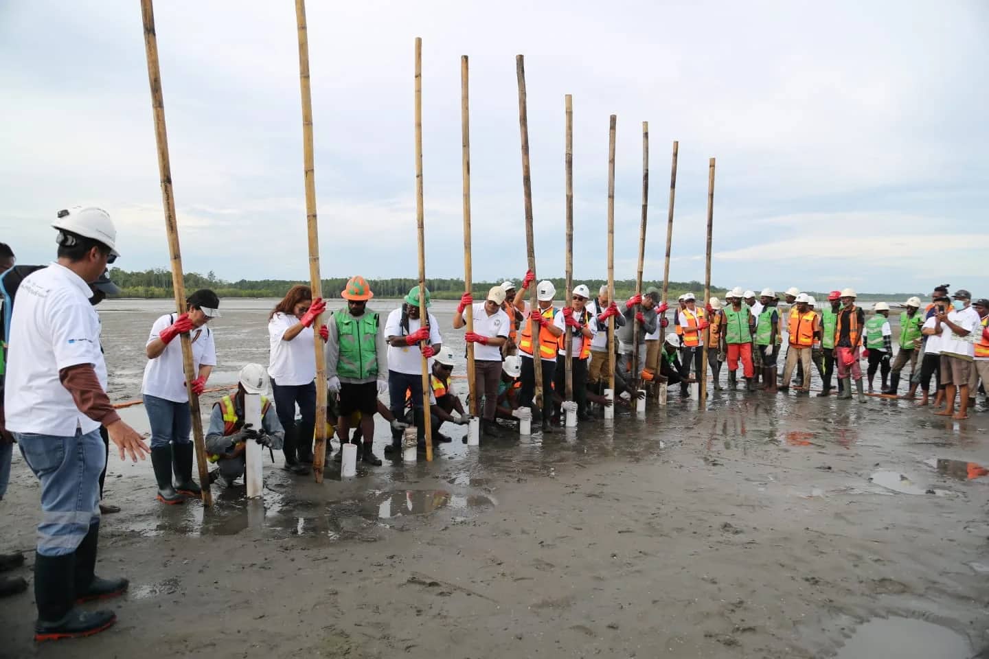 Ilustrasi berita Mimika: Parade Foto Penanaman Bibit Mangrove dan Pemasangan Bambu Program Struktur Estuari PTFI