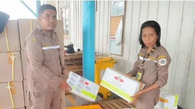 Ilustrasi berita Mimika: Tidak Dilengkapi Dokumen Karantina, Enam Box Benih Sayuran Asal Purwakarta Ditolak Masuk Timika