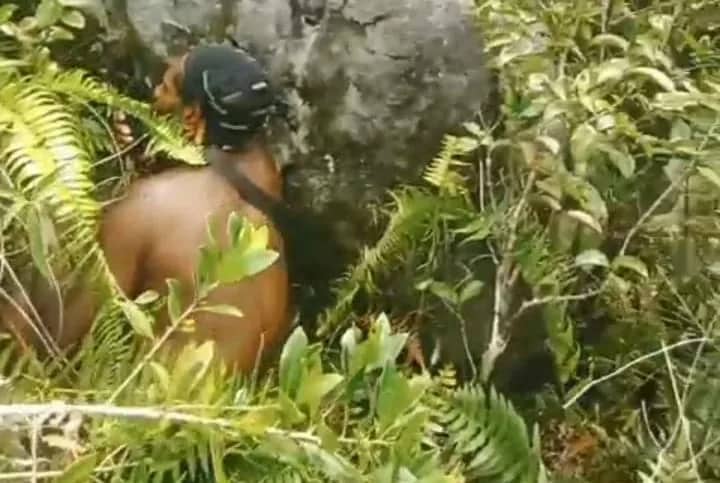 Ilustrasi berita Papua: OPM Klaim Tembak 4 Aparat TNI-Polri, Ungkap Alasan Bakar SD Inpres Pogapa, Ibukota Papua Tengah Jadi Daerah Operasi