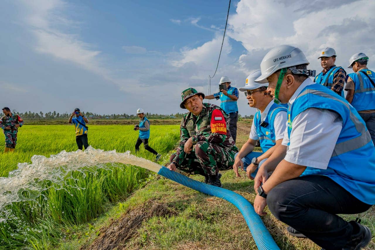 Ilustrasi berita Papua: Dukung Kedaulatan Pangan, PLN Aliri Listrik untuk Pertanian Modern di Food Estate Merauke