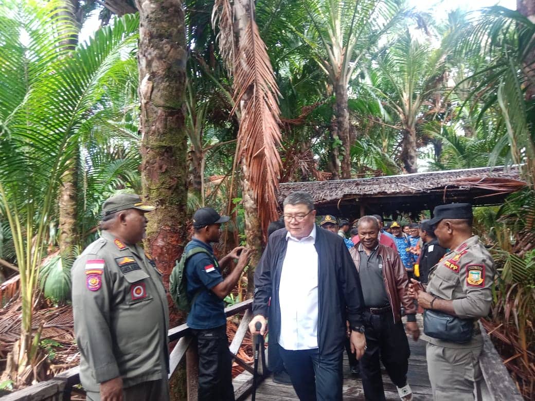 Ilustrasi berita JAYAPURA: Hutan Sagu Kampung Yoboi Terus Menyusut, Budaya Lokal Terancam