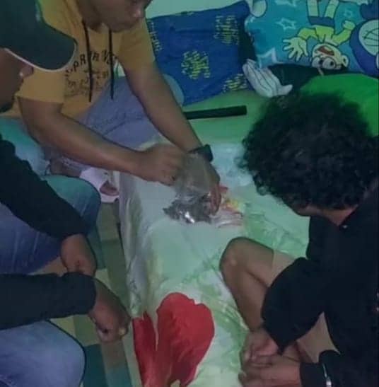 Ilustrasi berita Mimika: Polres Mimika Tangkap Pengedar Ganja di Jalan WR Supratman, Amankan Puluhan Paket Siap Edar