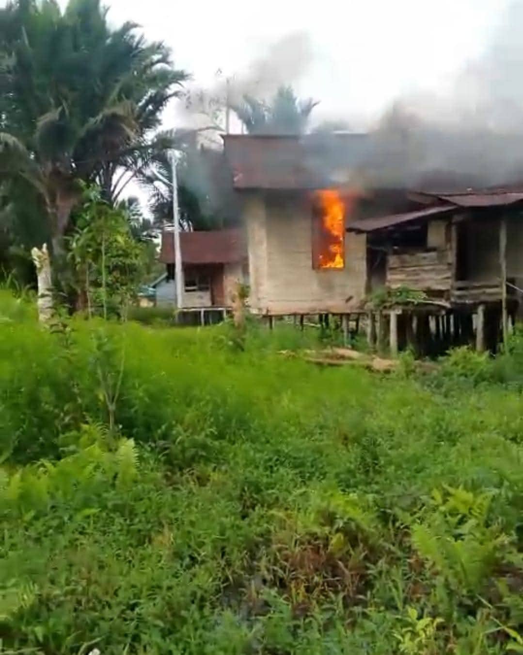Ilustrasi berita Papua: KKB Tembak Warga Sipil di Asmat, Rumah Korban Dibakar