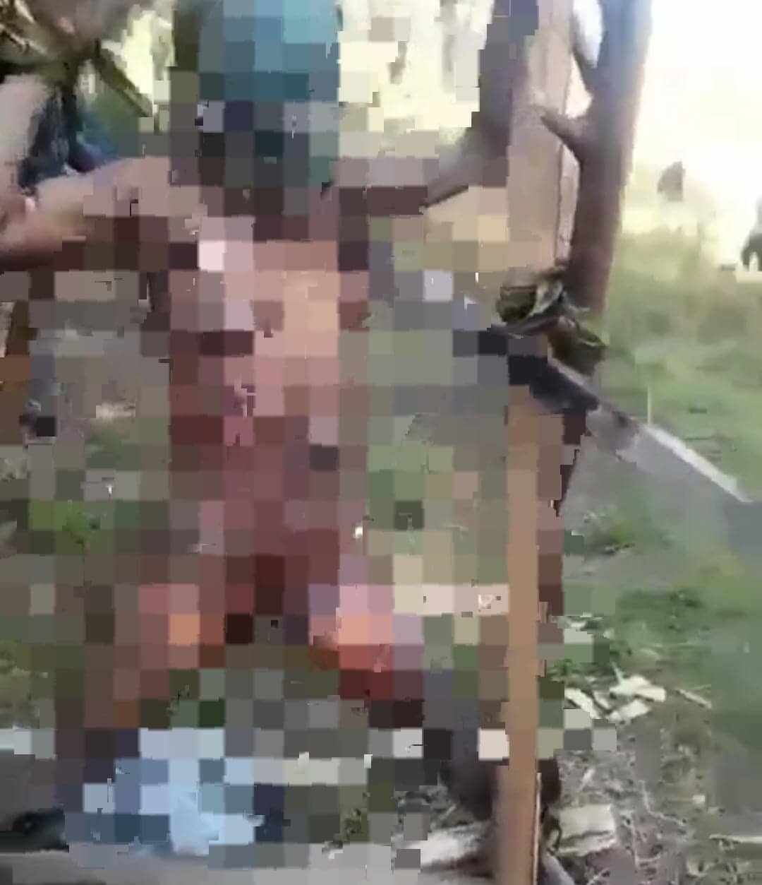Ilustrasi berita Papua: Sadis, Beredar Video Diduga OPM Siksa Dua Wanita di Nduga
