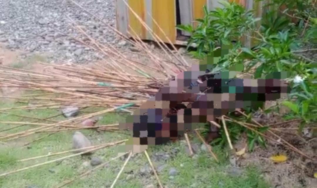 Ilustrasi berita Mimika: Tertancap Puluhan Panah di Sekujur Tubuh, Seorang Warga Kwamki Narama Tewas