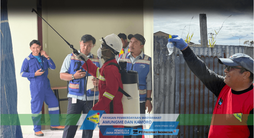 Ilustrasi berita Mimika: Mitra Pengelola Program Pengendalian Malaria, Strategi Kolaboratif Menekan Malaria di Mimika