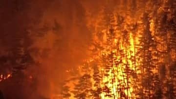 Ilustrasi berita Internasional: Kebakaran Hutan di Iwate Jepang Picu Pengungsian 1.800 Warga