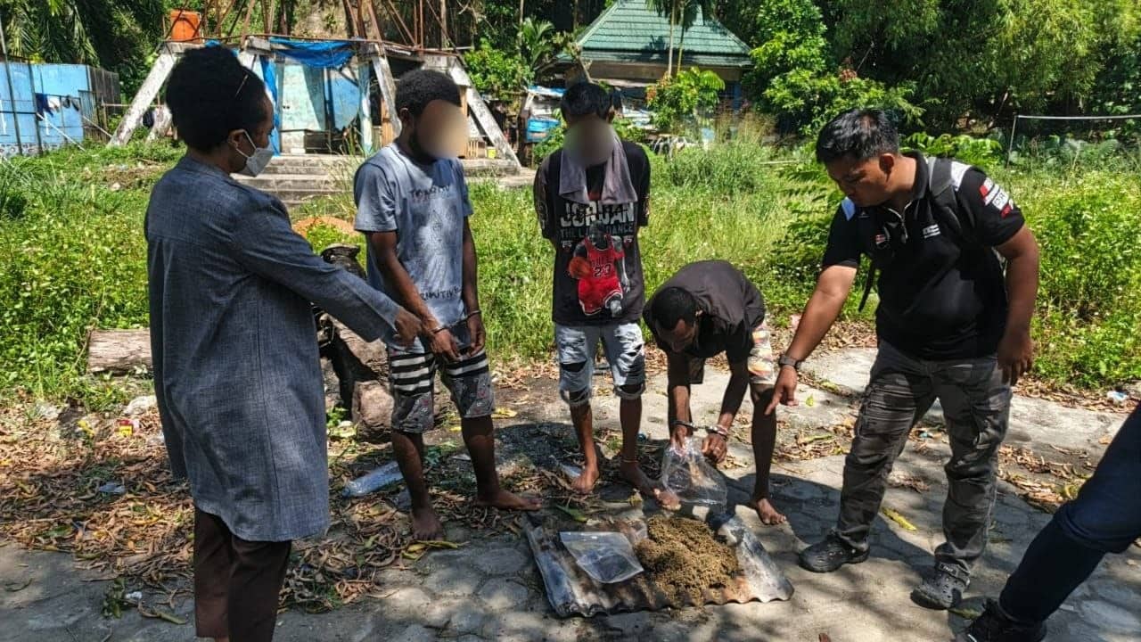 Ilustrasi berita Opini: Polresta Jayapura Kota Musnahkan 455,63 Gram Ganja, Tiga Tersangka Diamankan