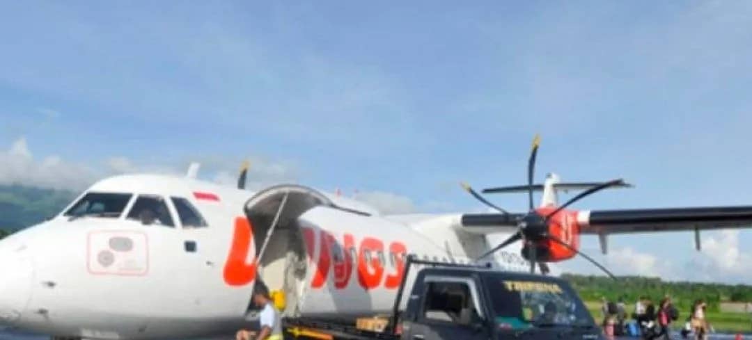 Pesawat penerbangan perintis