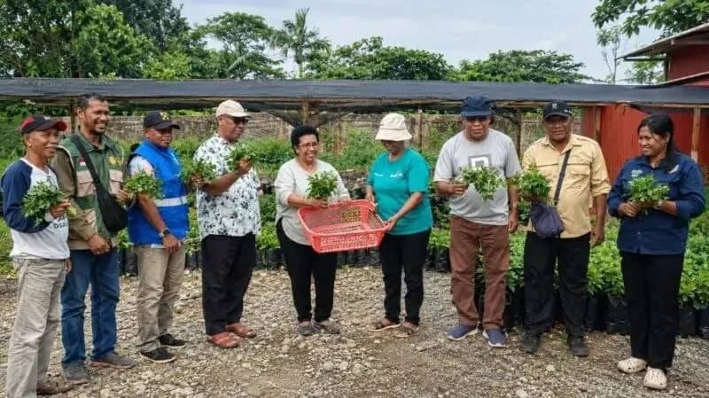 Rumah Sayur Kelompok Tani Jemaat Semua Umat di lingkungan Gereja GPDP Jalan Lanal, Mimika.
