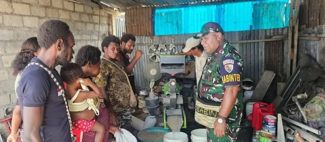Babinterau Lanud YKU, Serka Kasimirus Anitu, saat mendampingi anggota Kelompok Tani Mandiri Paive, Kampung Nawaripi mengolah padi.