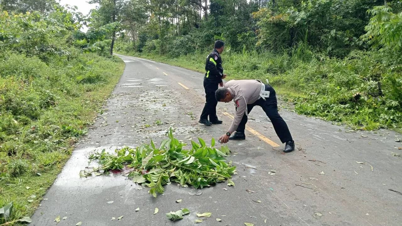 Satlantas Polres Mimika saat lakukan oleh TKP.