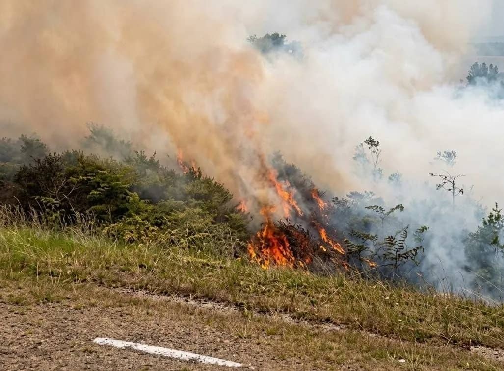 Tampak kebakaran lahan di Kampung Arwanop, Distrik Tembagapura, Kabupaten Mimika, yang dilaporkan telah berhasil dipadamkan masyarakat.