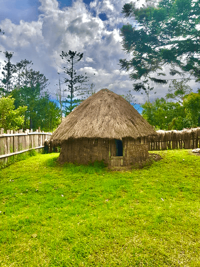 rumah honai